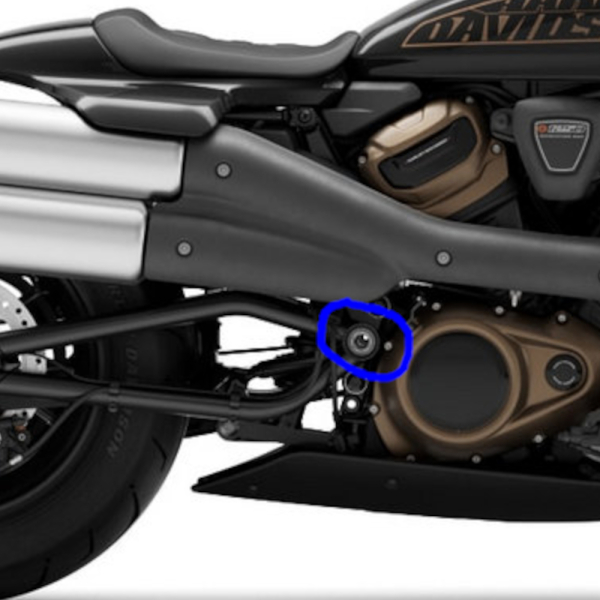 Schwingen-Arm-Cover - 2 Stück - Lasergravur → Punisher