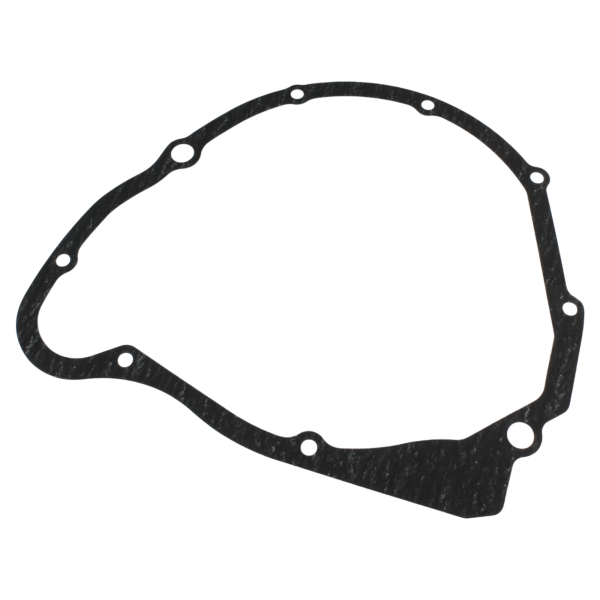 Dichtung - Motor - Lichtmaschine